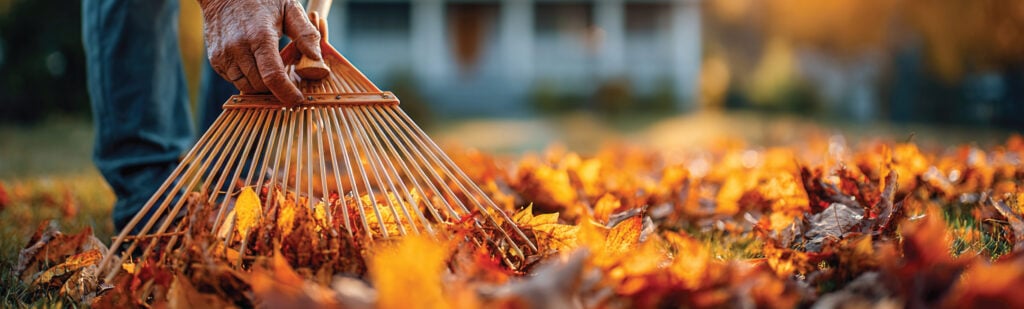 A close of up a rake pushing orange and yellow leaves into a pile.